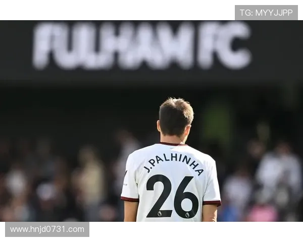 帕利尼亚与罗德里:防守型后腰和控场型后腰对比分析