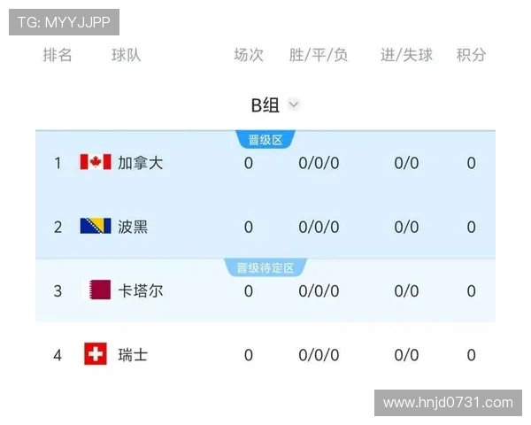 世界杯B组赛事观察报告 世界杯B组赛事观察报告